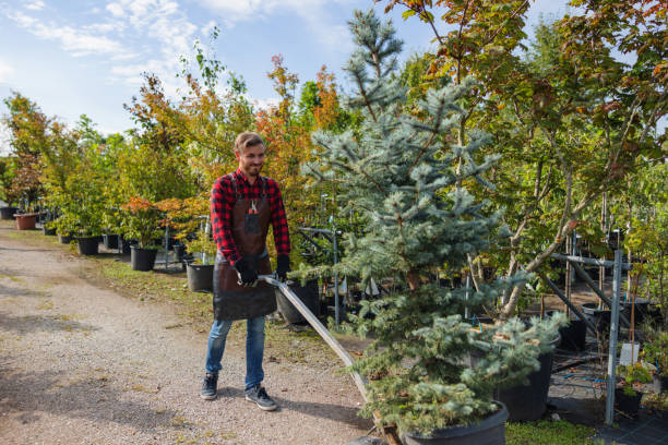 Best Tree Mulching  in Galena, IL